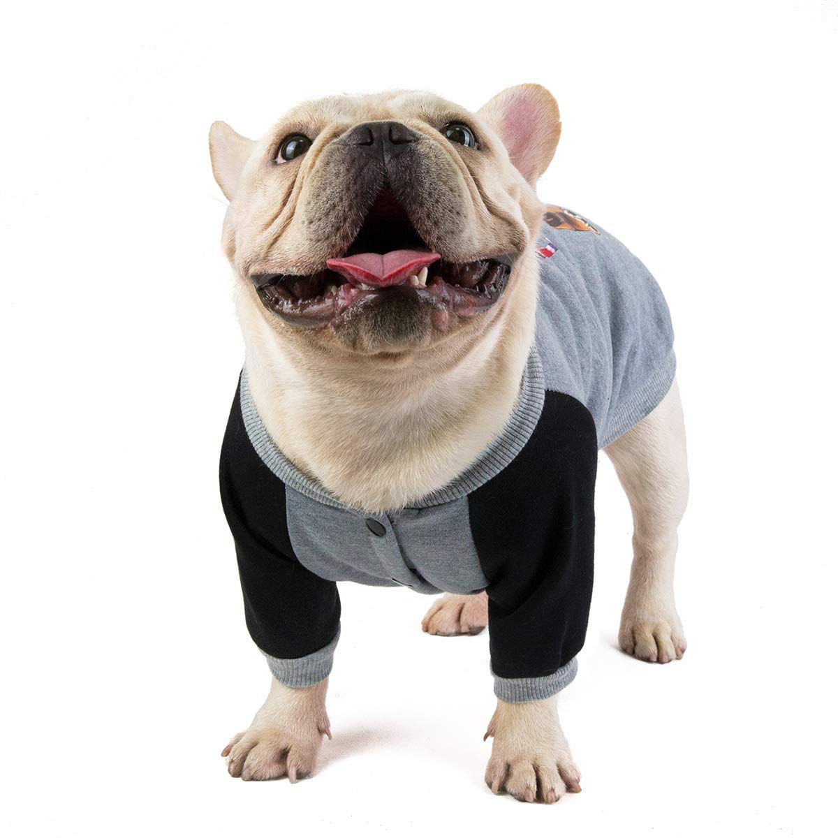 Leconpet Bulldog Dog Clothes pet Clothes Dog Clothes pet Clothing Dog Clothing Bulldog Sweater (M, Grey)