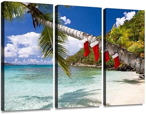 Amazon Co Jp クリスマス 海岸 熱帯気候 ヤシ クリスマスライト 夏 樹木 島 サンタクロース クリスマスソックス カリブ バケーション 海 カリブ海ポスター パネル 現代壁の絵 壁掛け 部屋飾り 背景絵画 壁アート 完成品 3枚セット すぐ飾る ホーム キッチン