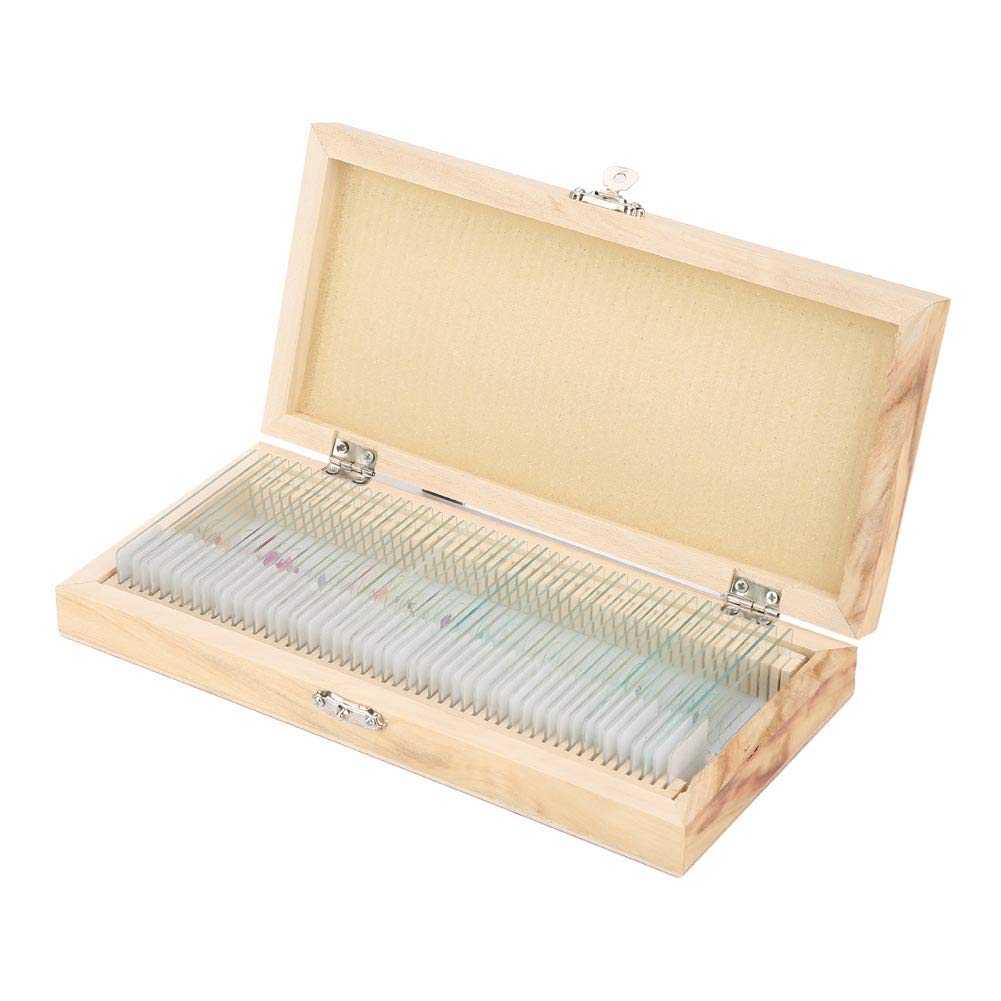 Microscope Slide, Specimens Slide, Accurately Stained 50Pcs Clear Image