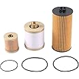 CARMOCAR FD4616 Fuel Filter and FL2016 Oil Filter Replacement for 2003-2007 Ford F250 F350 F450 F550 Super Duty 6.0L 2003-2005 Excursion 6.0L 3C3Z-9N184-CA 3C3Z-6731-AA FD4604
