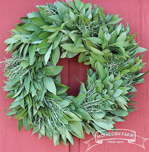 McFadden Farm Fresh Bay Leaf Wreath with Rosemary