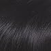 Garnier Olia Oil Powered Permanent Hair Color, 2.1 Soft Blue Black