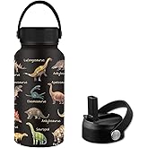 FAIVHSO Dinosaur Gifts, 25 oz Stainless Steel Water Bottles with 2 Lids, Insulated Water Bottle with Straw, Dinosaur Cups for Travel Sports Outdoor, Birthday Christmas Gifts for Boys Dino Lovers