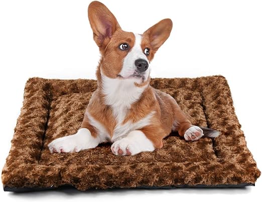 amazon dog crate mat