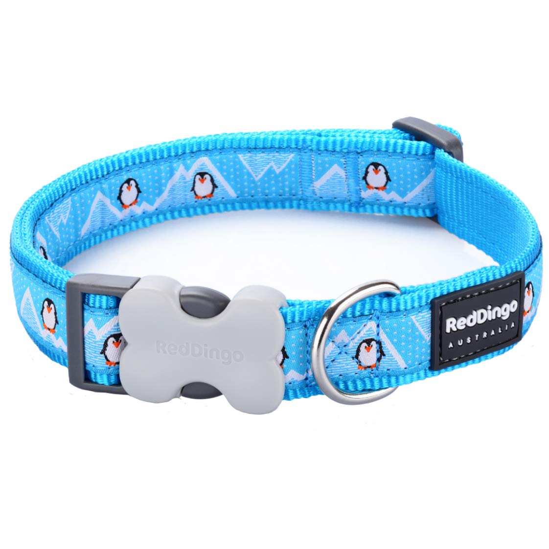 Red Dingo Bucklebone Dog Collar Design, Penguin Turquoise, X-SMALL 12mm