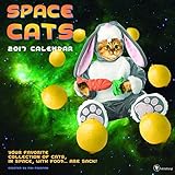 2017 Space Cats Wall Calendar by