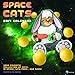 2017 Space Cats Wall Calendar by