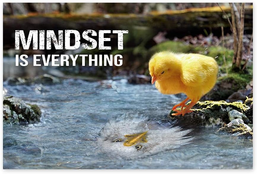 Mindset is Everything Poster Art Funny Cat Illustration Inspirational Poster Motivational Art