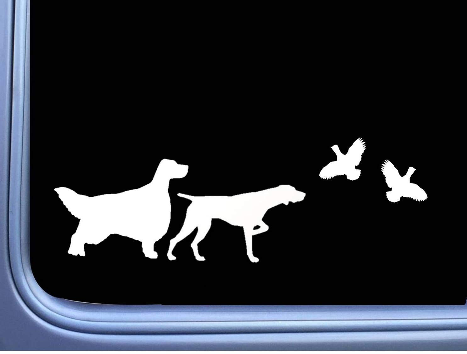 Amazon Com English Setter German Shorthair Pointer With Quail Tp