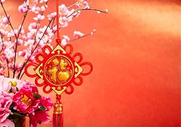 Amazon Com Aofoto 7x5ft Tradition China New Year Photo Shoot Backdrop Pink Peach Flowers Chinese Knot Fu Decoration Spring Festival Blessing Kids Ladies Portrait Background Lunar Year Photo Studio Props Vinyl