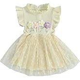 6M-4T Baby Girl Dress 3D Flower Lace Tulle Dresses Princess Dress Toddler Dresses Little Girls Summer Clothes