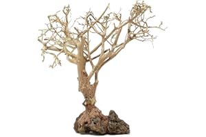 Bonsai Driftwood Aquarium Tree (10 Inch) Natural, Handcrafted Fish Tank Decoration | Easy to Install | BE