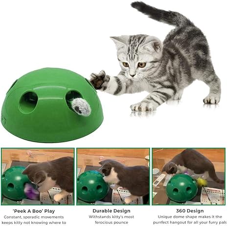 pop n play cat toy amazon