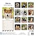 Shiba Inu Calendar - Breed Specific Shiba Inu Calendar - 2016 Wall calendars - Dog Calendars - Monthly Wall Calendar by Avonside