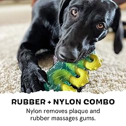 Barkbox Super Chewer Tough Dog Chew Toys for
