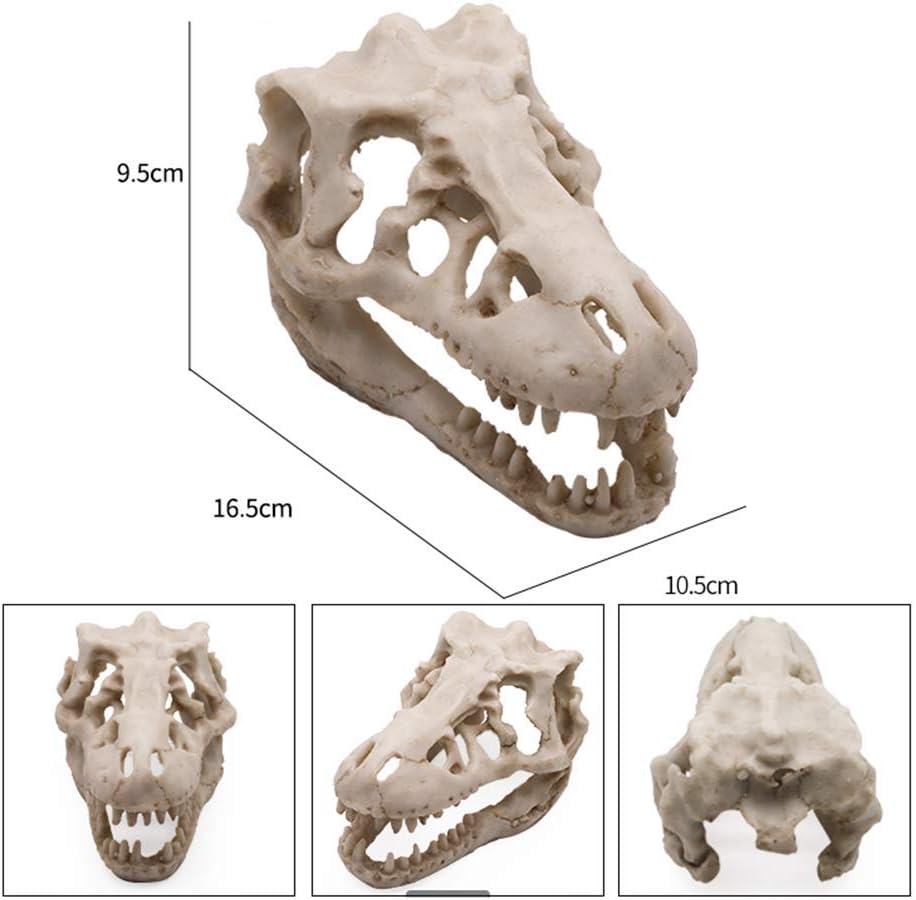 Tyrannosaurus Rex Skull Aquarium Decor Rocks Cave Ornament with Fish Hideaway
