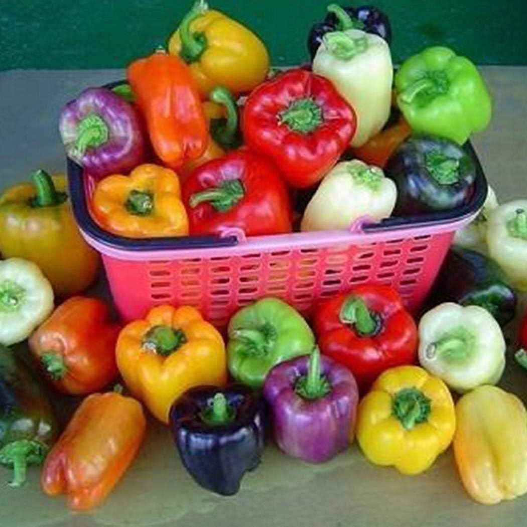 Семена Овощей Без Гмо Купить