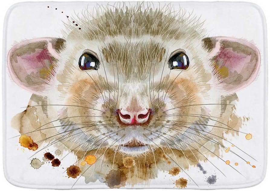 Adoninelp Bath Mat Rug Cute Rat Graphics Watercolor Illustration Plush Bathroom Decor Mats With Non Slip Backing 29 5 X 17 5 Amazon Co Uk Kitchen Home