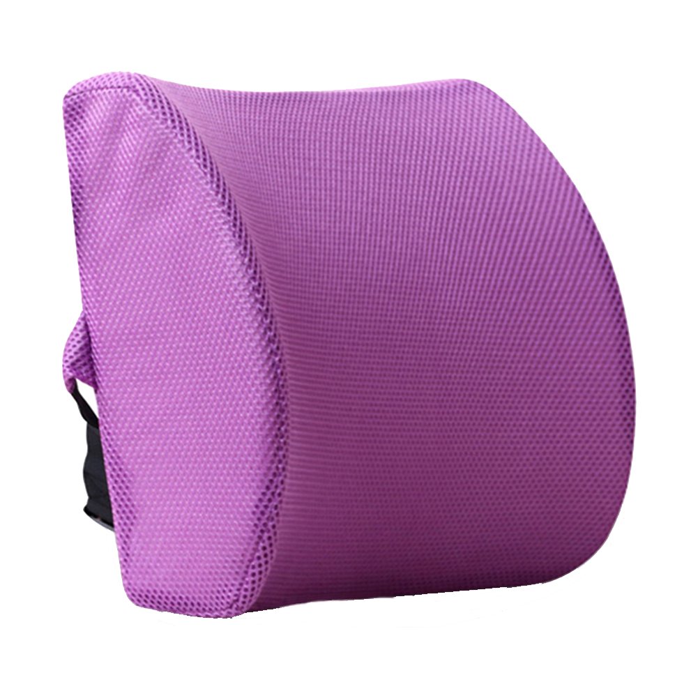 HomDSim Memory Foam Lumbar Cushion Lower Back Support Pillow Posture Correcting Car Seat Home Office Chair (Purple)