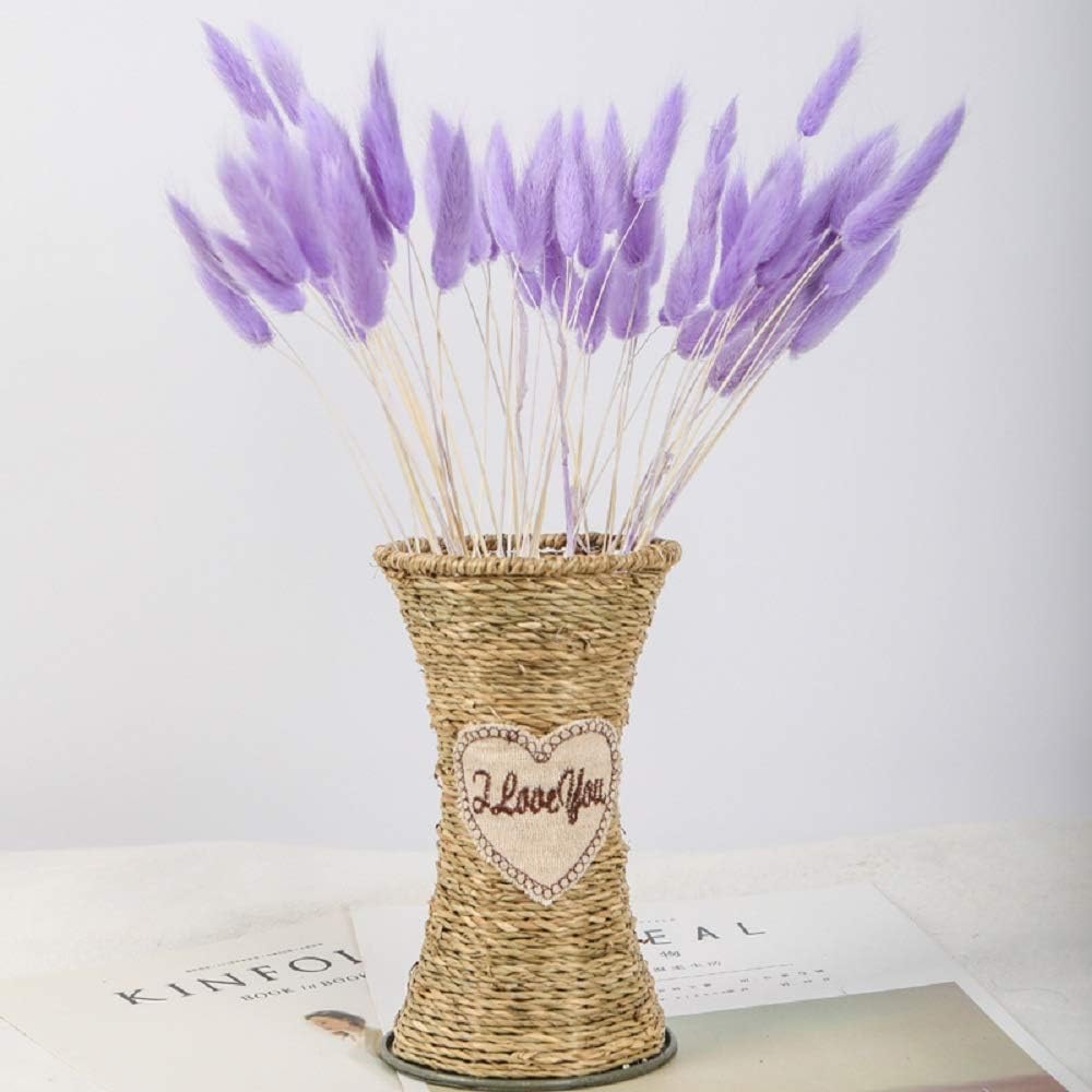100 Pcs Dried Flowers Natural Setaria Viridis Decorative Foxtail Grass Bouquet, Dry Dog Tail Grass , Preserved Pampas Grass Plants Table Decoration Accessories Party Beach Theme Decorations(Purple)