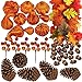 Winlyn 110 Pcs Artificial Autumn Gourds, Mini Pumpkins, Pine Cones, Leaves, Acorns and Berries Fall Decorating Kit Thanksgiving Halloween Party Decor