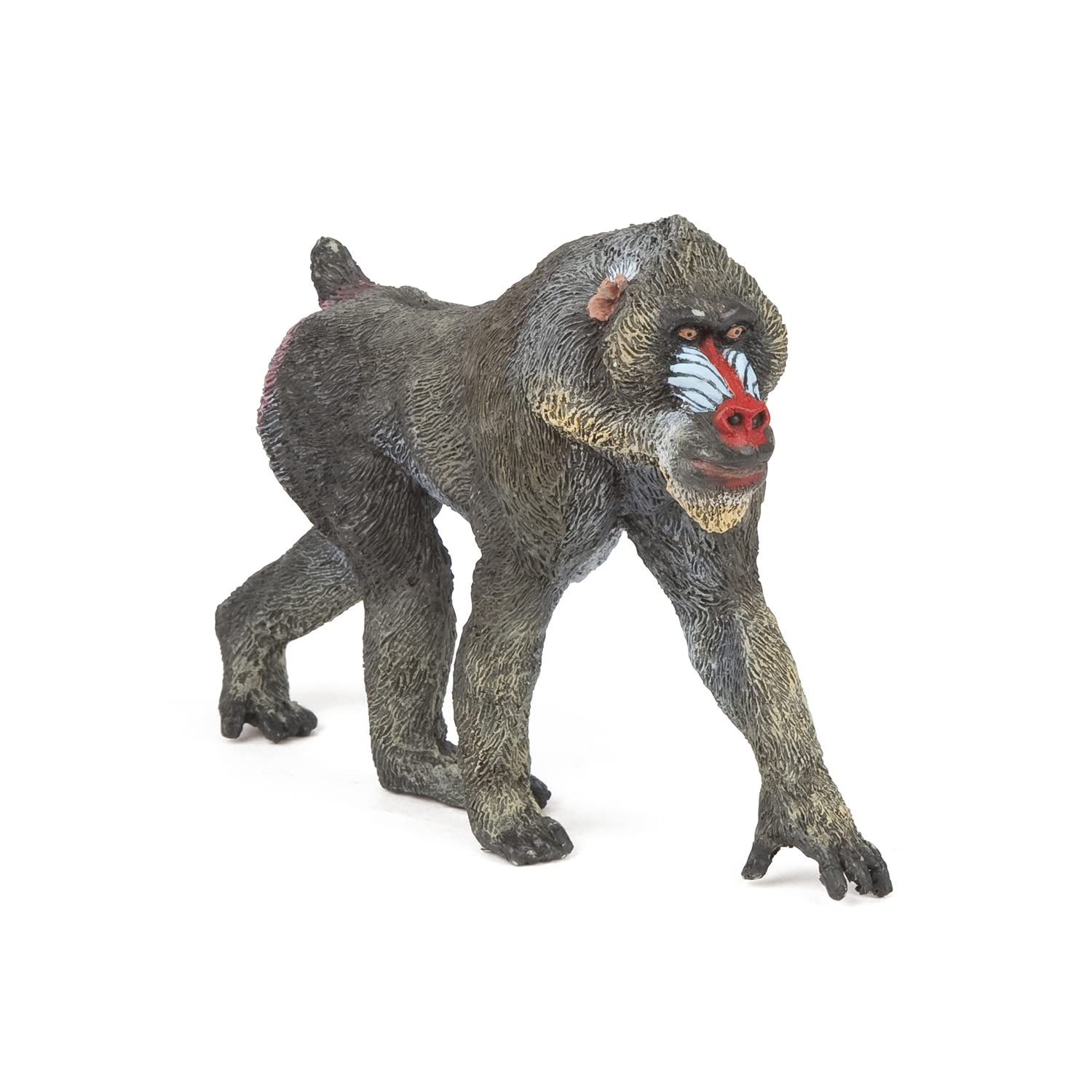 Papo - Realistic Mandrill Figure - Ages 3+ - Wild Life Collection - Educational Play Wild Primates - Gift Idea Toy for Girls and Boys