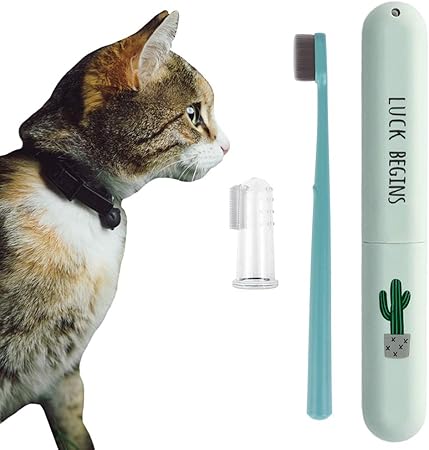 cat finger toothbrush