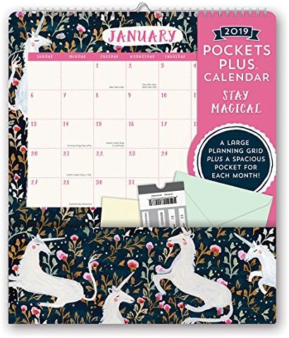 Orange Circle Studio 2019 Pockets Plus Wall Calendar, Sonia Cavallini Stay Magical Calendar – Wall Calendar, July 1, 2018