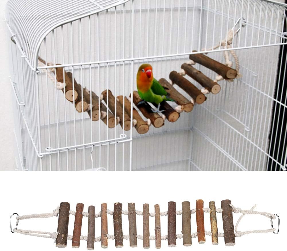 Parrot Ladder - Image 5