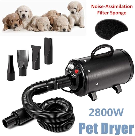 quiet dog hair dryer