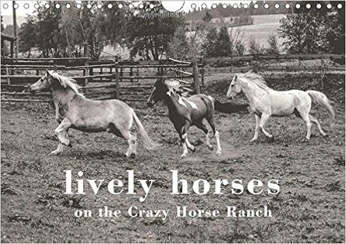 Buy Lively Horses On The Crazy Horse Ranch 17 Portraits Of Happy Horses On The Crazy Horse Ranch Calvendo Animals Book Online At Low Prices In India Lively Horses On The