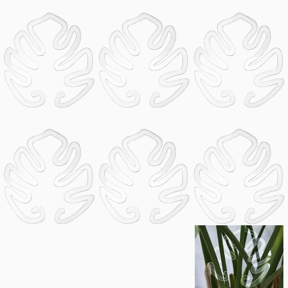 DELORIGIN 6Pcs Monstera Grappler Clear Monstera Leaf Plant Support Sturdy Hollow Acrylic Plant Support Ring Fixator for Indoor Outdoor Plants Organize the Leaves Keeps Plants Tame Growing Vertical-B