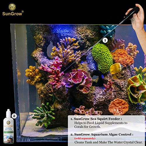 Sungrow Sea Squirt Feeder Accurate Dispensing Spot Feeder For