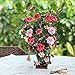 GTIDEA European Royal Style Design Artificial Potted Flowers Realistic Silk Rose Arrangements for House Office Restaurant Table Centerpieces Windowsill Decor