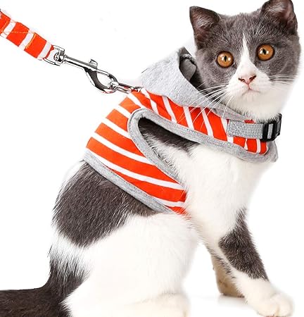 gopro cat harness