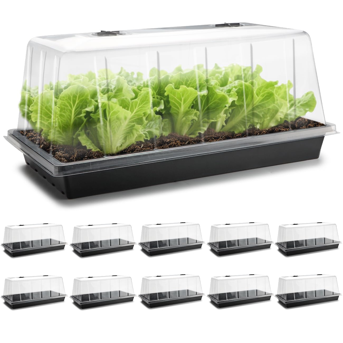 Photo 1 of 1020 Trays with Tall 7.3'' Dome, 10-Pack Extra Large Seed Starter Tray with Humidity Domes, Heavy Duty 1020 Seed Trays and Flats with Lid, Seed Germination Mini Greenhouse No Hole for Balcony Garden
