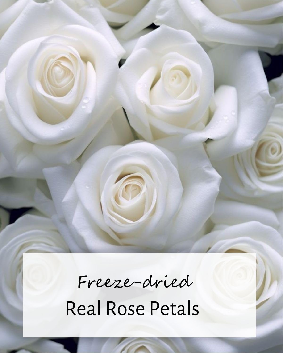 3.5oz REAL Rose Petals, Pearl White Freeze-Dried Petals Biodegradabel Wedding Natural Confetti, Perfectly Preserved Flower Petals for Table Decorations 100g