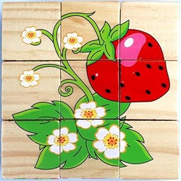 Vibgyor Vibes™ Early Age 6 in 1 Wood Block Puzzles for small Kids. (Fruit Theme)