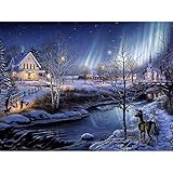 Chenway Christmas Diamond Painting Kit 5D for Adults, 3D DIY Full Drill Accessories Decor Large Paintings Kits Ornaments, Round Rhinestone Home Wall Art Decoration 40x30cm/ 30x30cm (F)