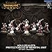Privateer Press Warmachine: Protectorate: Holy Zealots Unit Model Kit
