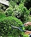 Gardena 399-U 6.7-Inch Boxwood Hedge Trimmer