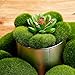 TecUnite 20 Pieces Artificial Moss Rocks Decorative Faux Green Moss Covered Stones (4 Size)