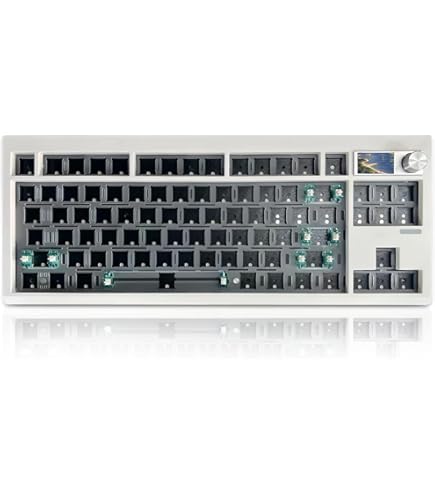 ダイヤモドキーパ　「3セット」 Amazon.com: FKZ GMK87 TKL Gaming Keyboard Kit,80% Hot-Swap Tri