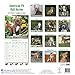 American Pit Bull Terrier Calendar - Dog Breed Calendars - 2018 - 2019 Wall Calendars - 16 Month by Avonside