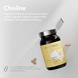 Zita West Choline Supplement 400mg Bitartrate 60 Capsules Pregnancy Postnatal view 2