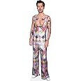 Harry E. Styles (Colourful) Life Size Cutout