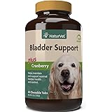 proin for dogs amazon