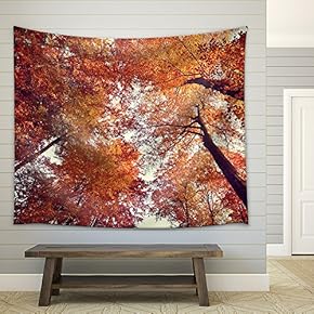 Beautiful Autumn Fall Forest Scene - Fabric Wall Tapestry Home Decor - 51x60 inches