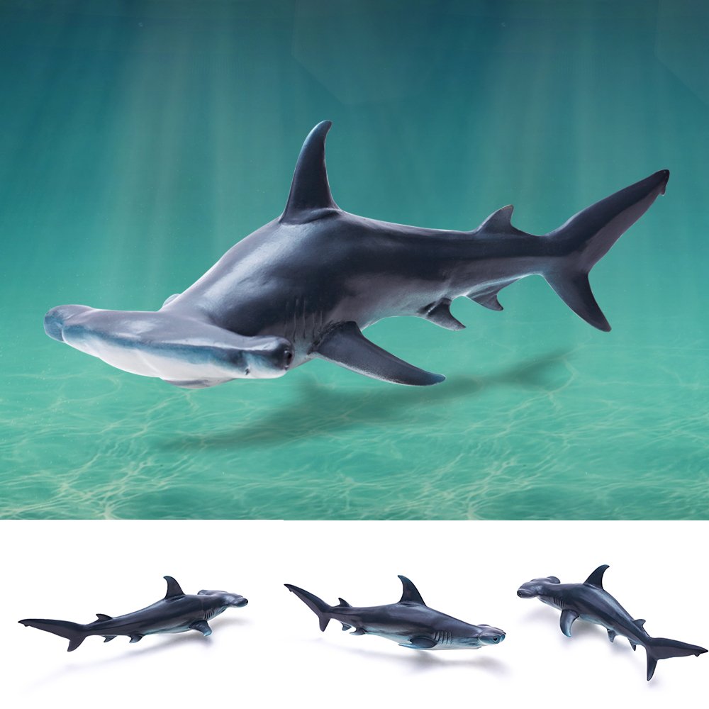 RECUR Toys Hammerhead Shark Figure Toys, Hand-Painted Skin Texture Ocean Shark Figurine Collection-10.8inch Realistic Design Shark Replica 1:15 Scale, Gift for Collectors and Boys Kids , Ages 3 And Up