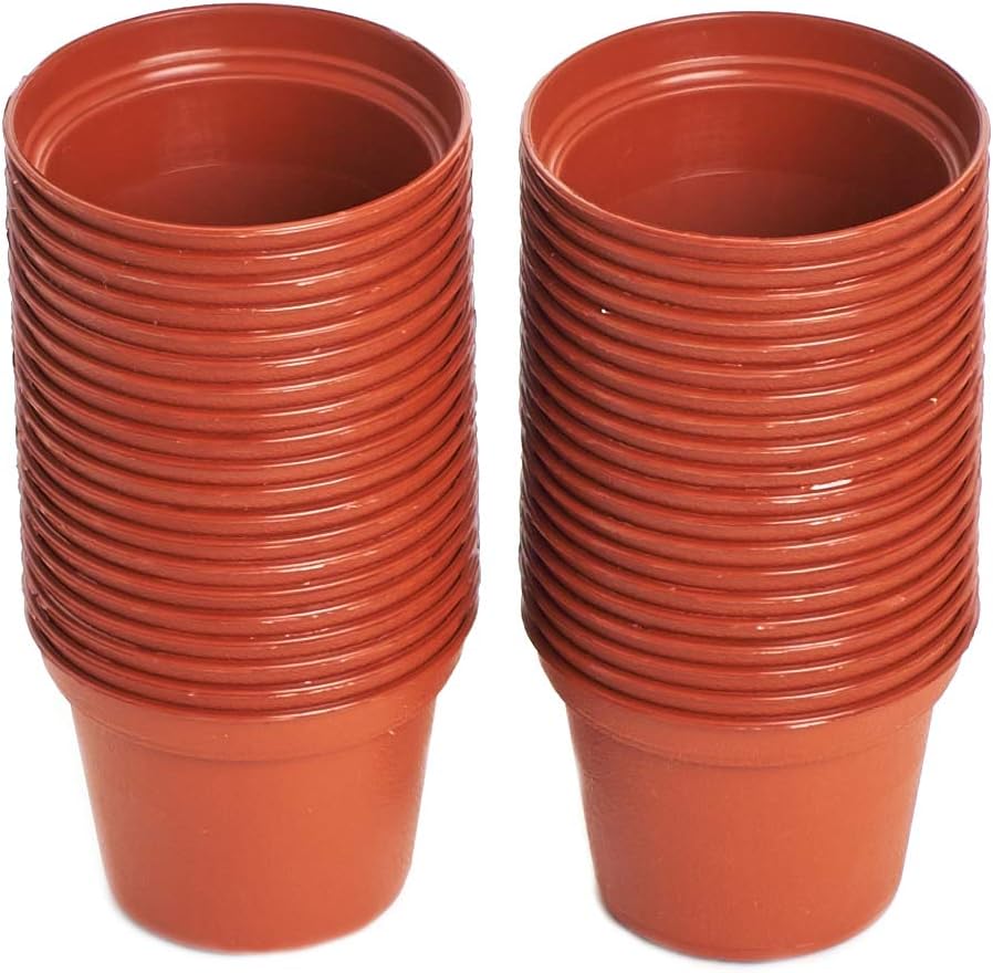 Shop Succulents 2" Plastic Nursery Pots, Pack of 40: Garden & Outdoor